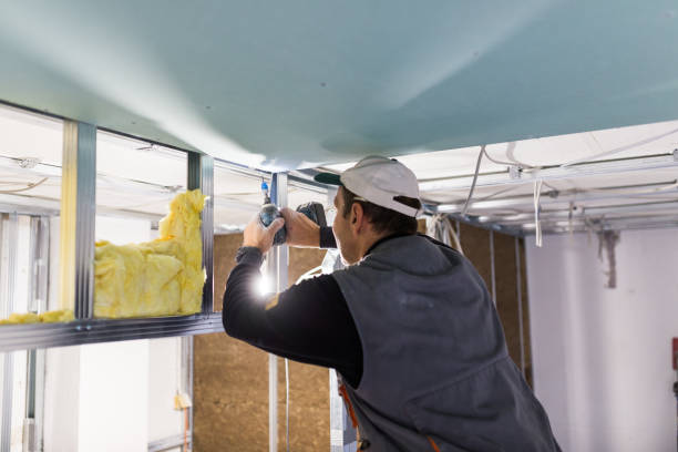 Best Commercial Insulation in Audubon, IA