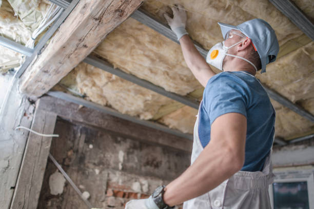 Best Insulation for Specific Applications in Audubon, IA